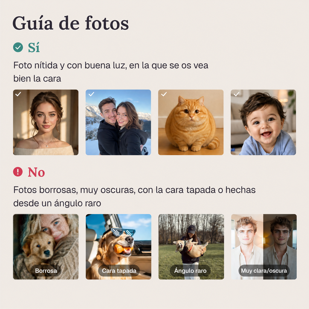 Guía de fotos: ejemplos de fotos que sirven y fotos que no para personalizar el plato