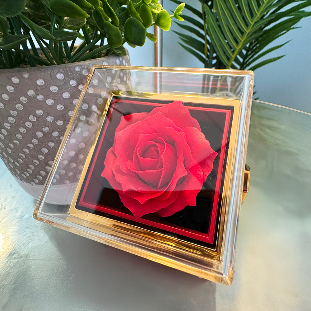 Rosa roja preservada dentro de la caja con detalles dorados