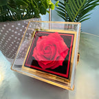 Rosa roja preservada dentro de la caja con detalles dorados